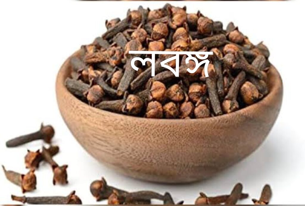 লবঙ্গের ব্যবহার ও উপকারিতা
