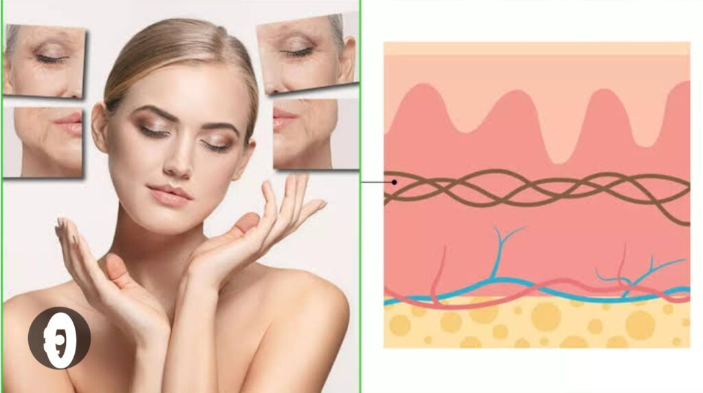 কোলাজেন (Collagen) কি? শরীরে কোলাজেনের কাজ,কোলাজেন বাড়ানোর উপায়