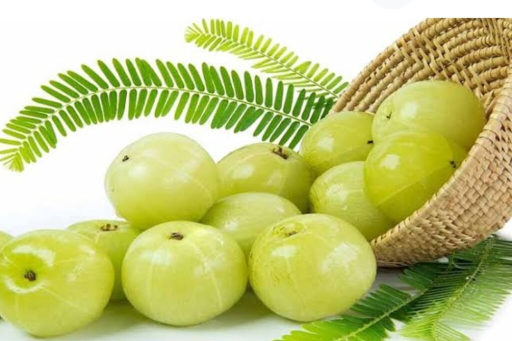 Amla Benifits<span class="rmp-archive-results-widget rmp-archive-results-widget--not-rated"><i class=" rmp-icon rmp-icon--ratings rmp-icon--star "></i><i class=" rmp-icon rmp-icon--ratings rmp-icon--star "></i><i class=" rmp-icon rmp-icon--ratings rmp-icon--star "></i><i class=" rmp-icon rmp-icon--ratings rmp-icon--star "></i><i class=" rmp-icon rmp-icon--ratings rmp-icon--star "></i> <span>0 (0)</span></span>